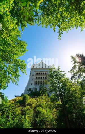 Beautiful and stunning low angle view of the famous Neuschwanstein Castle in Schwangau, Bavaria, Germany, Europe Stock Photo