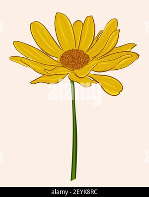 Bright gerbera. Vector, bright yellow-orange flower. Garden flower close up. Stock Vector