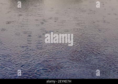 Rainfall with drops and concentric waves on the surface of a pool Stock Photo