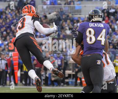 Cincinnati Bengals cornerback Terence Newman (23) walks on the sidelines  during the first half of an