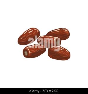 Dates dried fruits, dry food snacks vector icon. Dried dates, fruity sweets, diet nutrition and vegetarian natural organic food, dessert ingredient an Stock Vector