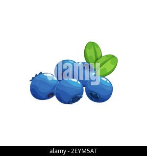 Blueberry fruits icon, blue berries bilberry food, vector. Wild forest or farm garden blueberries fruits ripe harvest for jam, juice or yogurt package Stock Vector