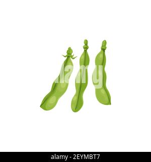 Green peas or bean pods, farm agriculture plants and seeds vector isolated icon. Green peas pods vegetable food, kidney or chickpea and bean, farm har Stock Vector
