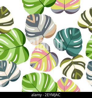 Monstera leaf seamless pattern, colorful floral design isolated on white background. Tropical leaves, vector illustration Stock Vector