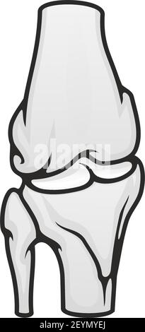 Joint of bones in knee or elbow, vector isolated icon. Human anatomy, skeleton structure, orthopedic Stock Vector