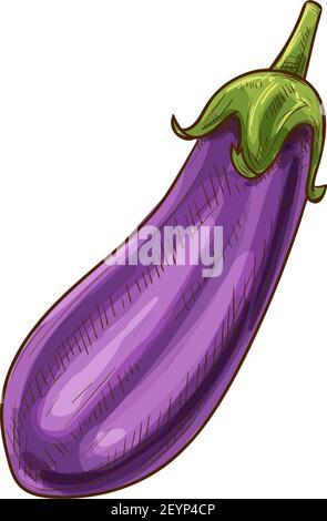 How To Draw Brinjal/Eggplant - YouTube