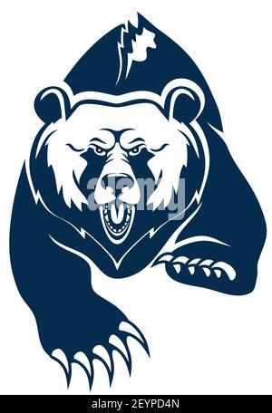 Wild american black bear isolated grizzly. Vector aggressive animal, big claws on paws Stock Vector