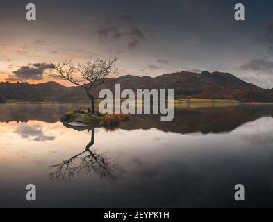 Sunrise over lone tree Rydal water