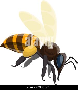 Wasp isolated icon, insect with sting vector. Wild animal, flying bug Stock Vector