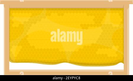Honey in honeycomb in wood frame. Vector apiary hive honeycomb isolated with flowing honey Stock Vector