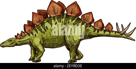 Stegosaurus isolated cartoon triceraptor graze. Vector kentrosaurus prehistoric predator animal Stock Vector