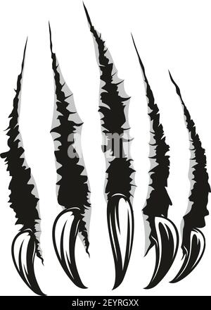 Claws Scratches Vector. Claw Scratch Mark. Bear Or Tiger Paw Claw Stock ...