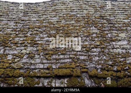 Roof of an old home covered in moss and lichens, viewed from the side, illustrating the concepts of decay and deterioration Stock Photo