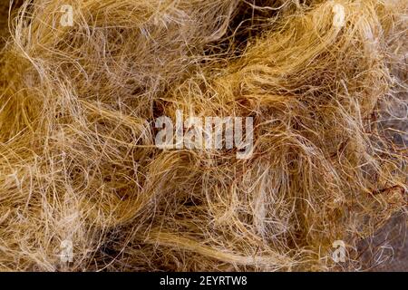 Plumbing accessory: Hemp joint, France Stock Photo