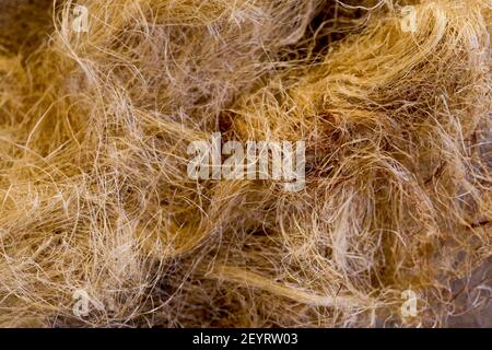 Plumbing accessory: Hemp joint, France Stock Photo