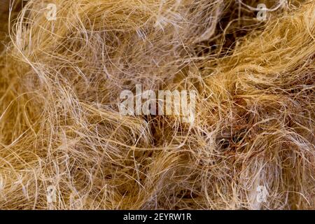 Plumbing accessory: Hemp joint, France Stock Photo