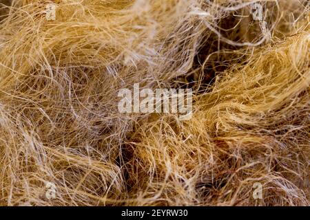 Plumbing accessory: Hemp joint, France Stock Photo