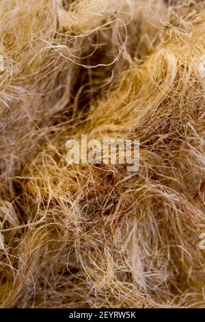 Plumbing accessory: Hemp joint, France Stock Photo