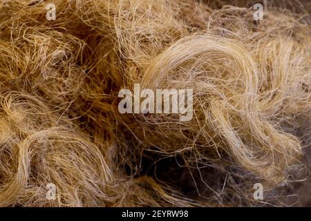 Plumbing accessory: Hemp joint, France Stock Photo