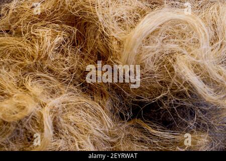 Plumbing accessory: Hemp joint, France Stock Photo