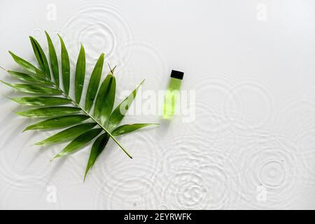 Green liquid product for beauty facial massage therapy, Self made skincare product. Flat lay, simple composition, palm leaf on white background. Water Stock Photo