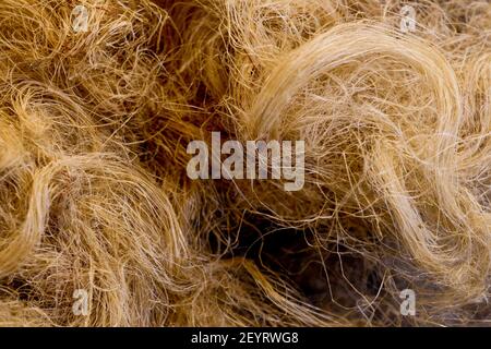 Plumbing accessory: Hemp joint, France Stock Photo