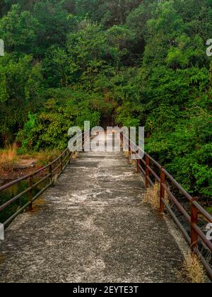 Local dam bridge surrounded by trees in India Stock Photo