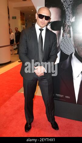 Pitbull The Miami premiere of 'Men in Black III' at Regal South Beach ...