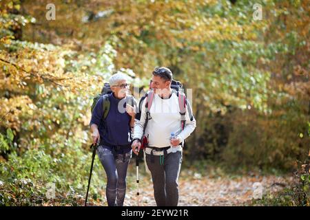 Cheerful elder couple hiking in forest Stock Photo