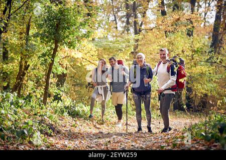 Two couple hiking in beautiful forest in autumn Stock Photo
