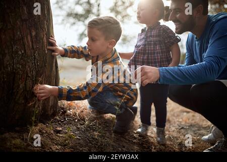 Young father with children in nature looking crust of tree Stock Photo