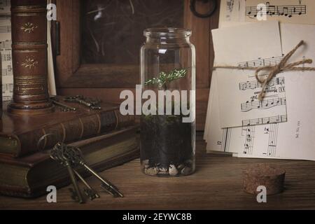 Mini glass terrarium jar in a vintage setting among books, key, and music sheets. Stock Photo