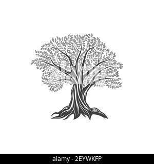 Olive tree icon with leaves and branches, olive oil and food vector flat line label. Olive tree sign of Mediterranean cuisine and extra virgin olive o Stock Vector