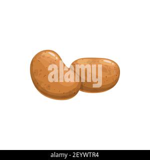 Brown sweet potatoes isolated vegetable food. Vector unpeeled large bulbous, brown old or new, whole raw uncooked veggie. Farming and agriculture prod Stock Vector