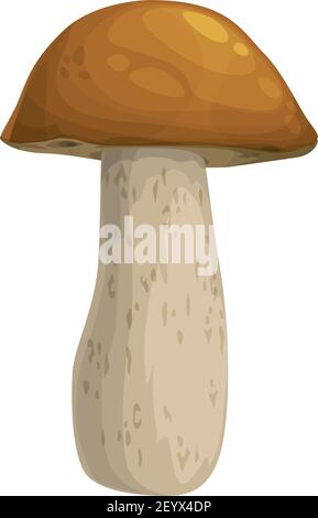 Mushroom boletus or cep vector icon, cartoon vegetable or forest plant with brown cap and mottled stipe. Autumn season symbol, botanical object isolat Stock Vector