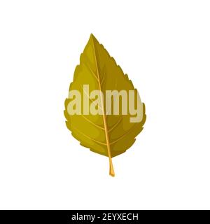 Leaf of autumn tree, elm leaf and fall foliage, vector isolated icon. Dry autumn leaf of elm tree, nature forest and plants leaves Stock Vector