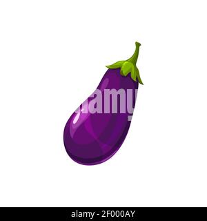 Eggplant veggie food in realistic design isolated. Vector purple ripe aubergine vegetable, Guibea squash. Fruit of brinjal edible vegetarian food, far Stock Vector