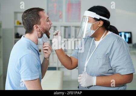 Contemporary mixed-race female clinician using coronavirus test cotton bud for oral swab of young man sitting in front of her with open mouth Stock Photo