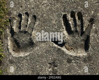 A closeup shot of handprints left on the ground Stock Photo