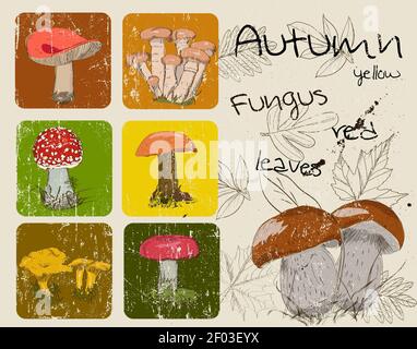 Vintage poster with autumn plants and fungis. Stock Photo