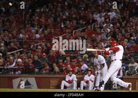 St. Louis Cardinals' Carlos Beltran straps on his batting gloves