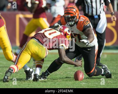 Cincinnati Bengals defensive tackle Geno Atkins (97) against the San  Francisco 49ers during an NFL football game in Santa Clara, Calif., Sunday,  Dec. 20, 2015. (AP Photo/Eric Risberg Stock Photo - Alamy