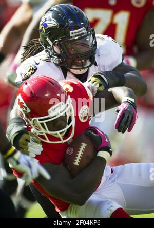 Baltimore Ravens running back Christopher Ezeala is shown before a