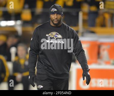 Oakland, California, USA. 3rd Jan, 2010. Baltimore Ravens linebacker Jameel  McClain #53, linebacker Ray Lewis #52, and linebacker Prescott Burgess #54  watch replay during game from the sidelines on Sunday, January 3