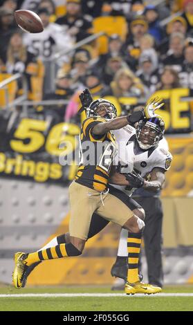 Photo: Raven's Anquan Boldin scores in Baltimore - WAP20100926308