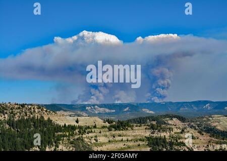 Pine Gulch Fire. Stock Photo