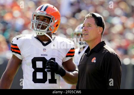 Seven NFL coaches were fired Monday, December 31, 2012, including Chicago  Bears head coach Lovie Smith. Here, Smith watches a replay during the first  quarter of the Bears' game against the Green