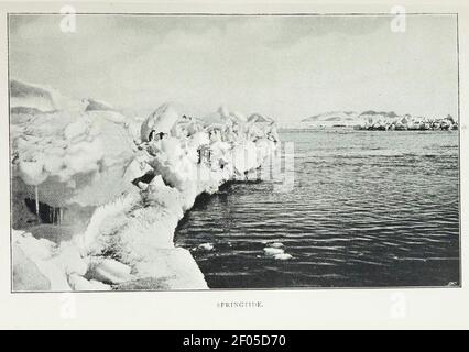 Pinguins-Cape-Adare. Stock Photo