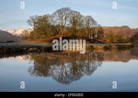 Small copse reflected in the calm water of the River Brathay near Elterwater Stock Photo