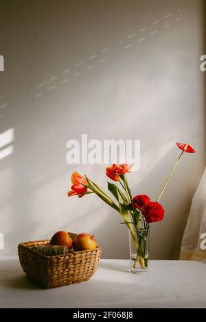 Vase with blooming tulips and carnation placed on table near apples in wicker bowl Stock Photo